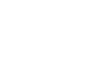 Best Minky